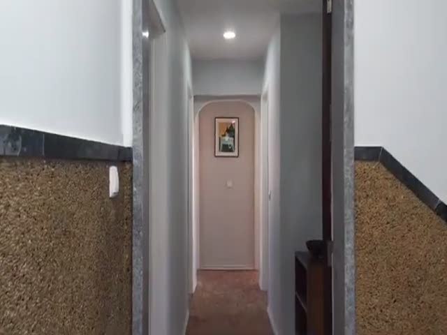 No Flash found